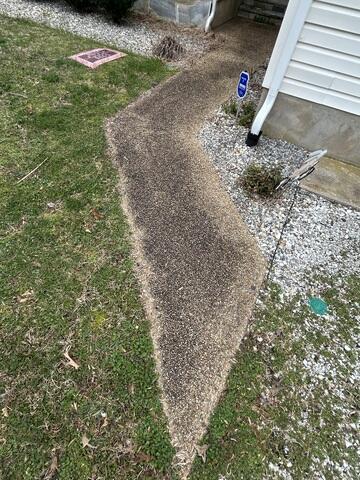 Washing Concrete Walkway in Laurel, DE