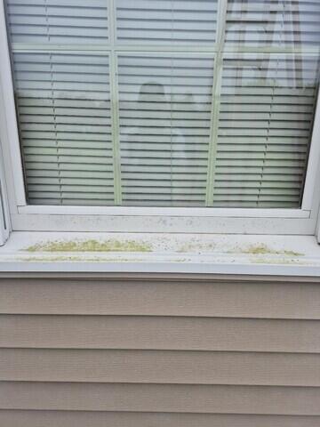 Window Washing in Laurel, DE