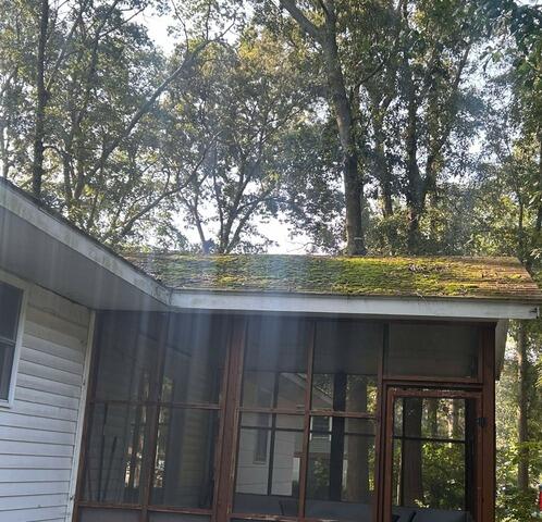Roof Cleaning in Salisbury, MD - Before Photo