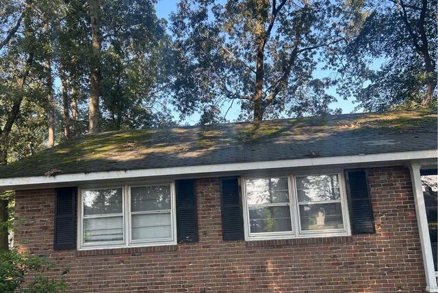 Moss Removal and Roof Washing in Salisbury, MD - Before Photo