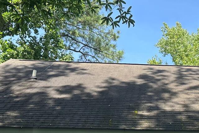 Roof Washing in Berlin, MD - Before Photo