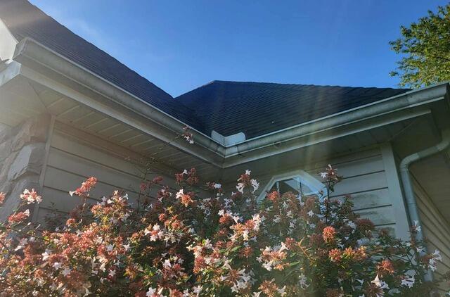 Gutter Brightening in Camden Wyoming, DE - Before Photo
