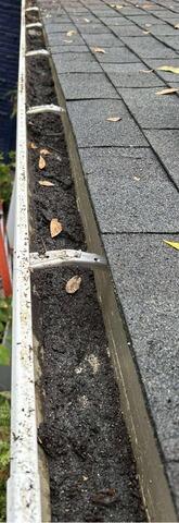 Gutter Cleaning and Protection in Denton, MD