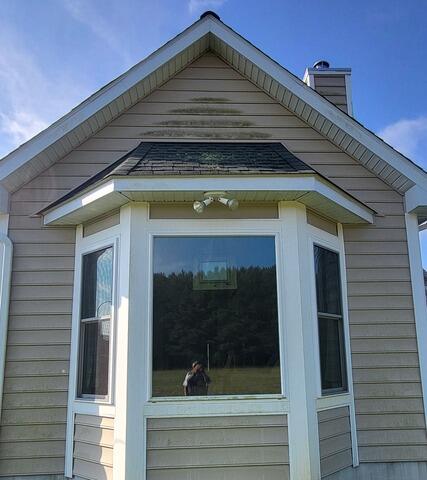 Exterior Home Soft Washing in Parsonsburg, MD - Before Photo