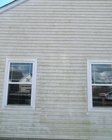 Soft Washing Vinyl Siding in Millsboro, DE