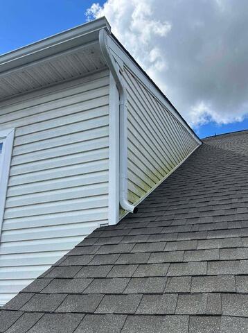 Washing Vinyl Siding in Millsboro, DE - Before Photo