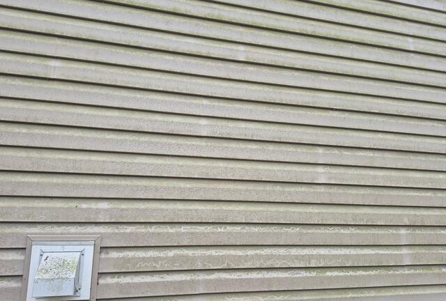 Vinyl Siding Soft Washing in Earleville, MD