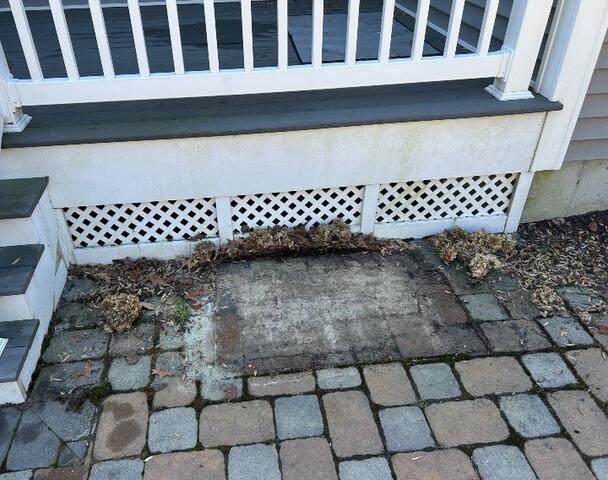 Paver Cleaning in Millsboro, DE