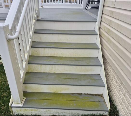 Step Cleaning in Millsboro, DE