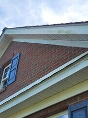 Gutter Brightening in Georgetown, DE