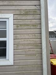 Vinyl Siding Soft Washing in Seaford, DE
