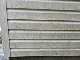 Soft Washing Vinyl Siding in Laurel, DE
