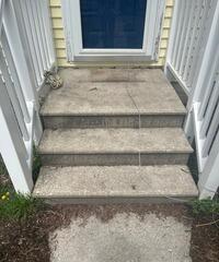 Soft Washing Concrete Steps in Felton, DE
