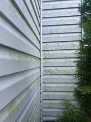 Soft Washing Vinyl Siding in Dover, DE