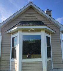 Exterior Home Soft Washing in Parsonsburg, MD