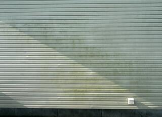 Vinyl Siding Soft Washing in Ellendale, DE