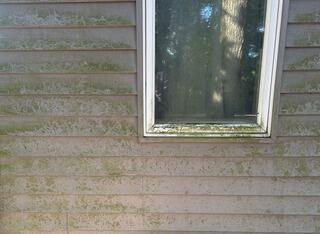 Soft Washing Vinyl Siding in Frankford, DE