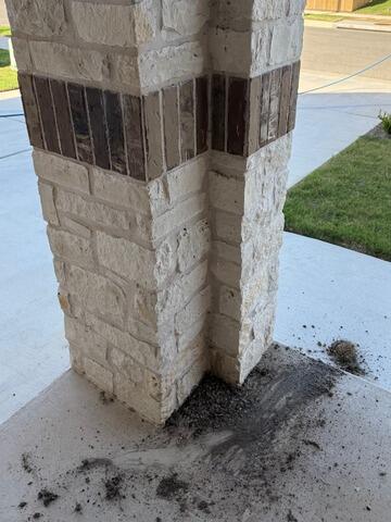 Entrance Way Bird Poop Cleaning and Sanitizing - Before Photo