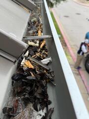 Gutter Cleaning