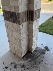 Entrance Way Bird Poop Cleaning and Sanitizing in Leander, TX