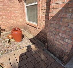 Algae Removal off Brick in Austin, TX