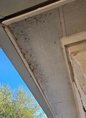 Meticulous Detailed Cleaning in Leander, TX