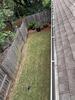 Dirty Clogged Gutters
