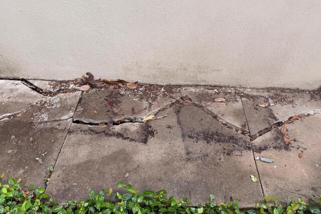 Crack Sealing Using NexusPro in New Orleans, LA! - Before Photo