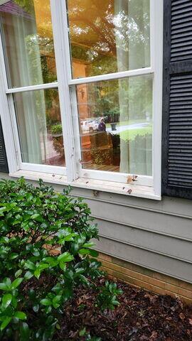 Window Cleaning in Simpsonville, SC - Before Photo