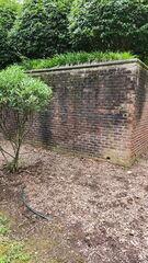 Brick Wall Cleaning in Spartanburg, SC