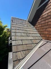 Roof Streaks in Sunset, SC