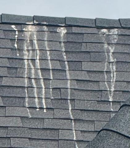 Roof Cleaning in Keller, TX