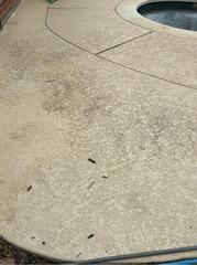 Pool Restoration in Flower Mound, TX