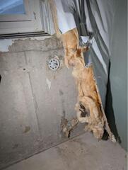 Foundation Wall Crack Repair in Aurora, IL