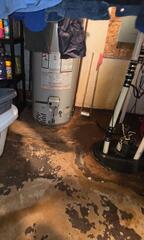 Wet Basement Repair in Wilmette, IL
