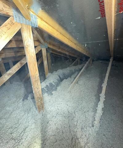 Trusoft Cellulose in Chandler, AZ