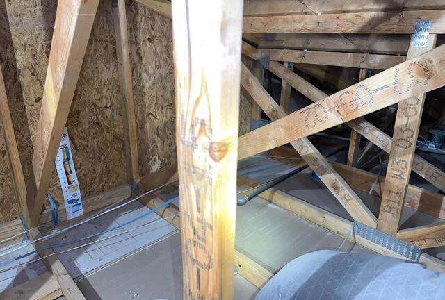 Trusoft Cellulose in Chandler, AZ