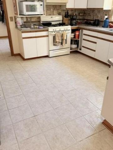 Tile cleaning
