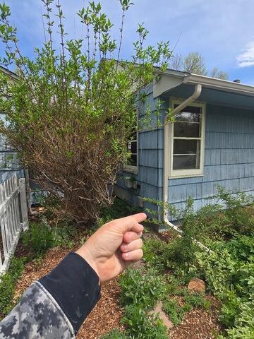 Real estate Radon Mitigation Longmont Colorado - Before Photo
