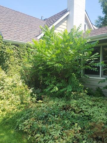 Exterior Radon Mitigation Bellvue,Co - Before Photo