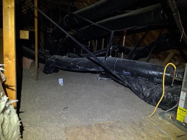 Removing Pest-Contaminated Attic Insulation in Matthews, NC - After Photo