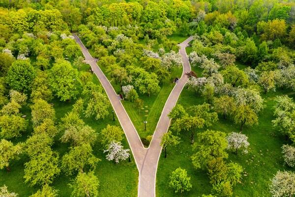 Forks In The Road Of Life