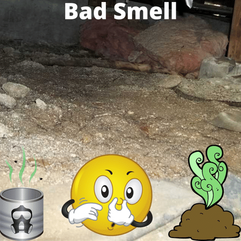 Identifying moisture issues in your crawl space even when it is dry - Image 3