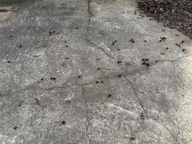 Concrete with cracks across it.