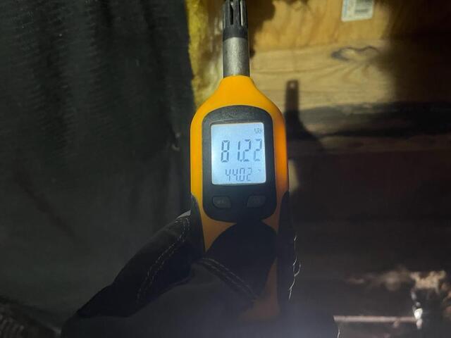 Humidity reader with an 81% reading