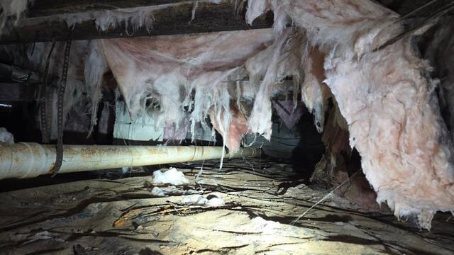 Moist crawl space with falling insulation.