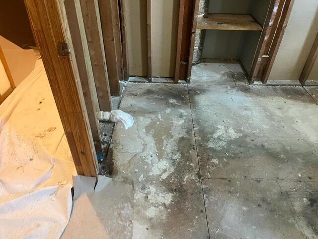 Efflorescence on the floor of the basement. 