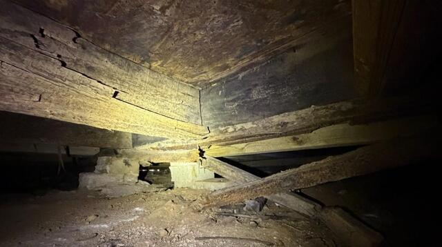 Mold in the crawl space.