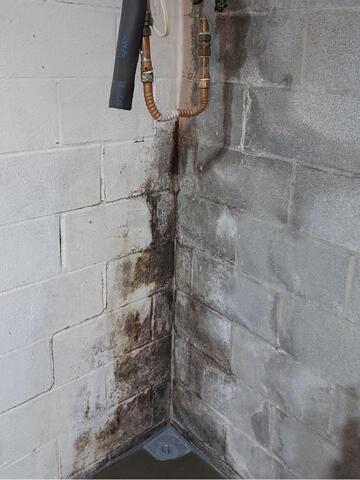 Evidence of leaking on the basement wall. 