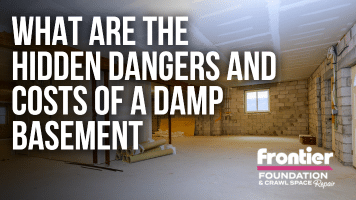 What are the Hidden Dangers and Costs of a Damp Basement